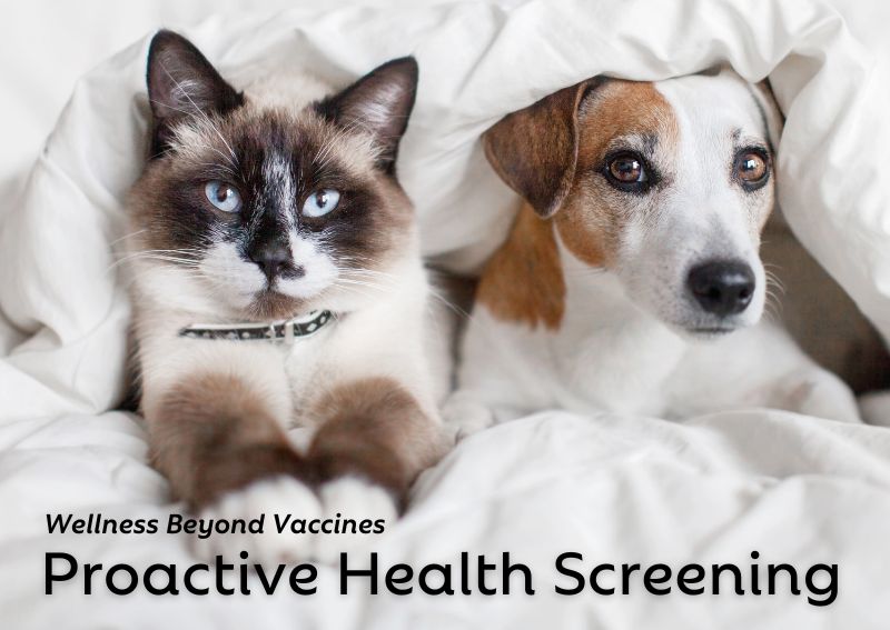 Carousel Slide 1: Check out our pet preventive care blog!